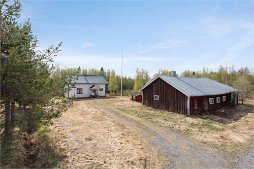 Haapasaari 19