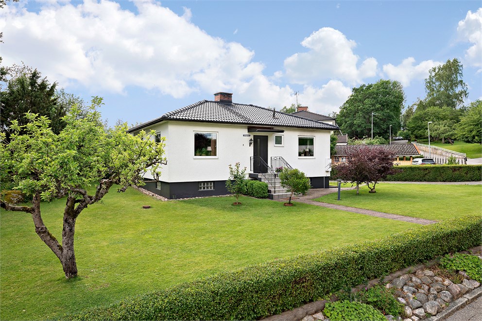 Plan välskött trädgård