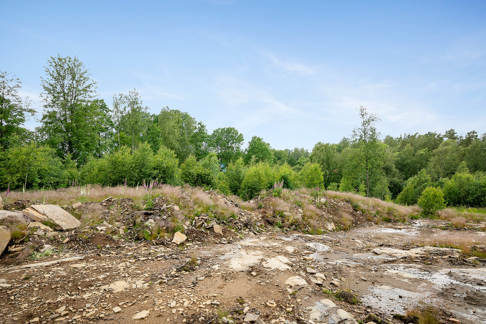 Stegareberg Kullabacken 1