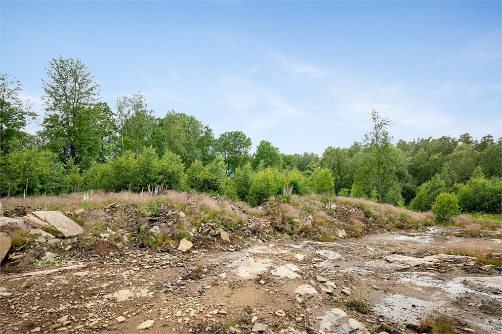 Stegareberg Kullabacken 1