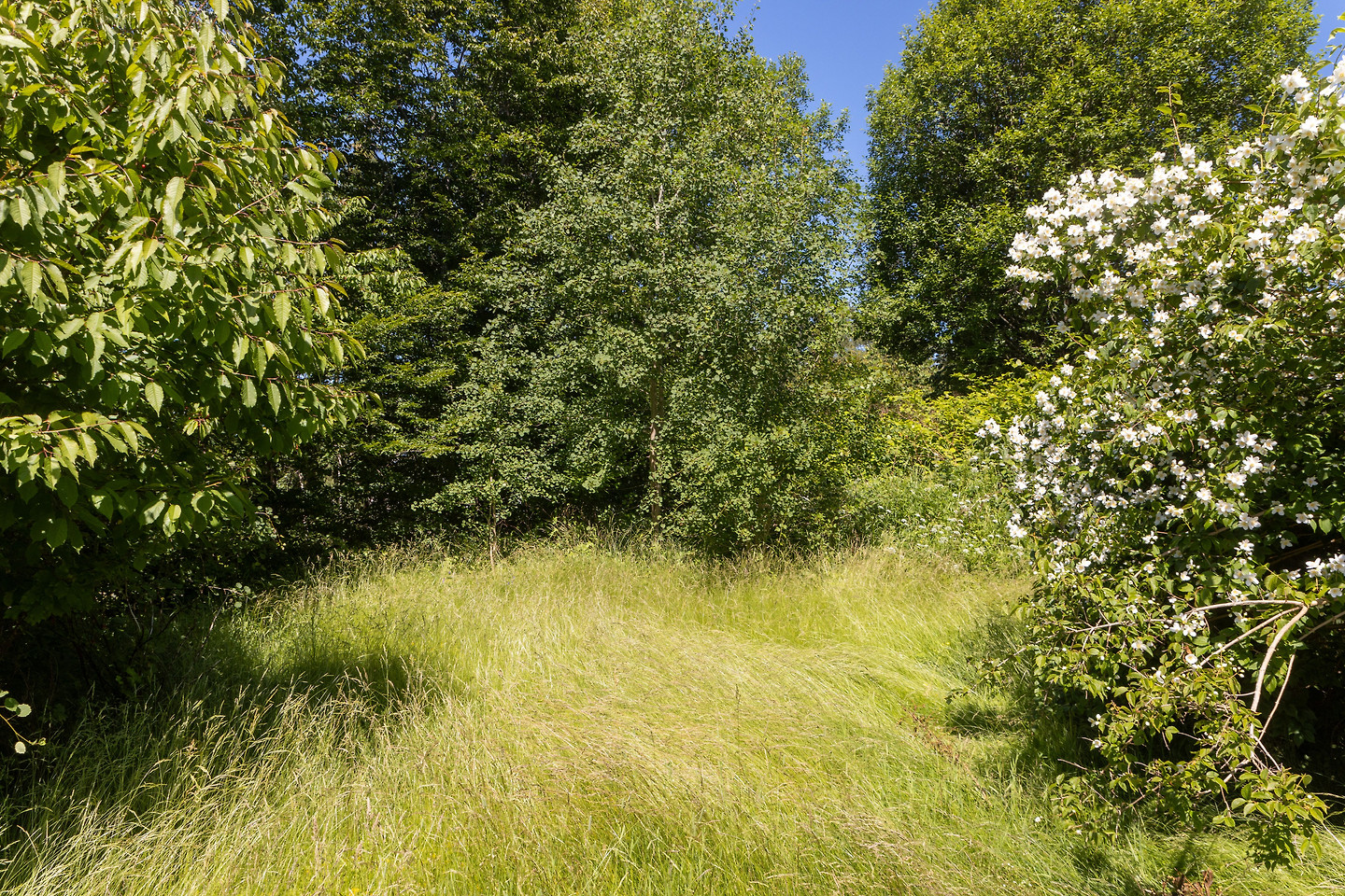 Stora Älsjövägen 56B – bild 7