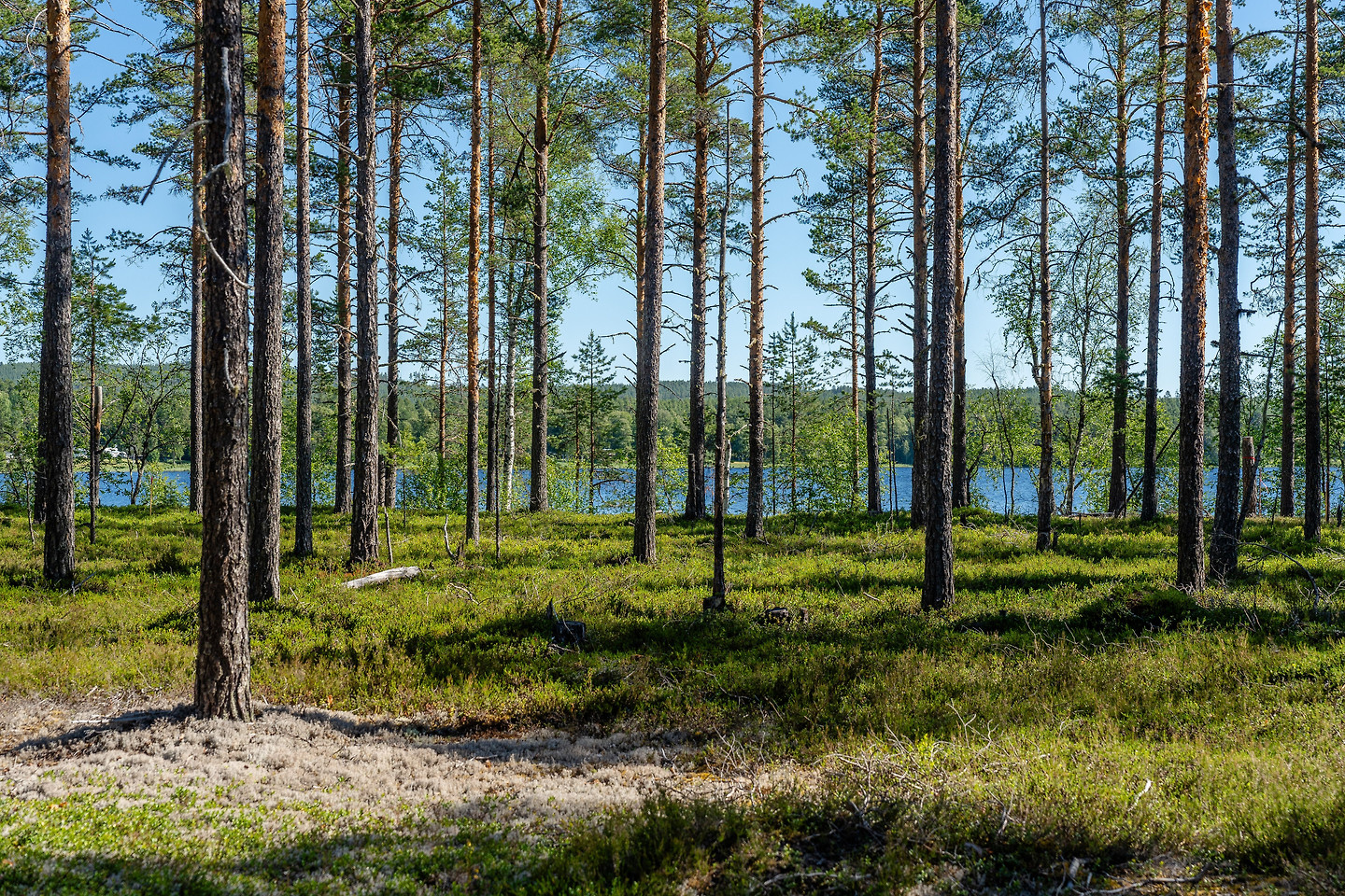 Bild 3 från Fastighetsbyrån