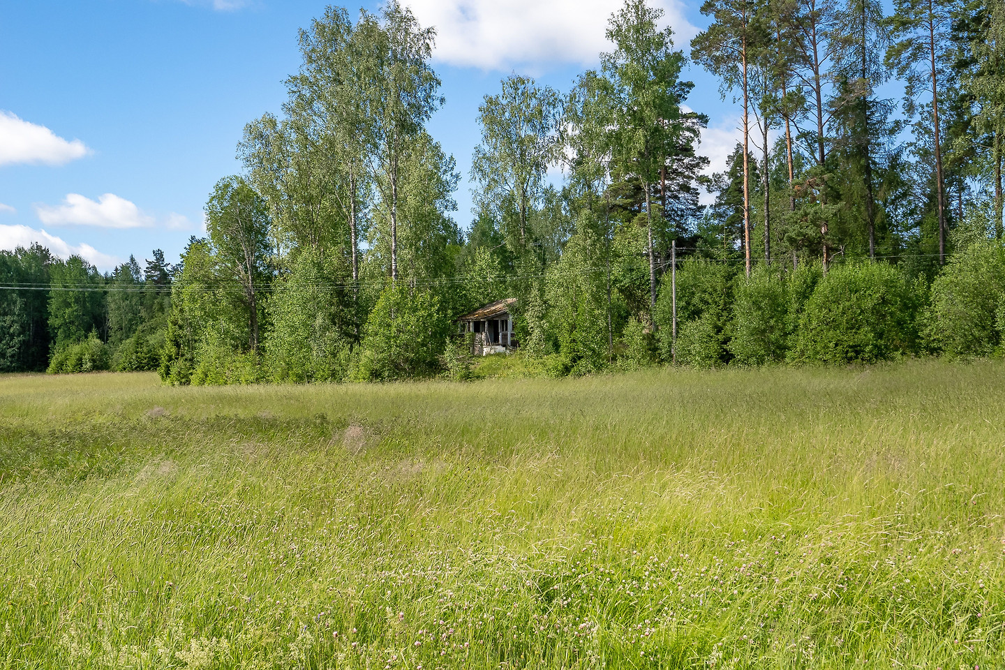 Gammelbo 101 – bild 3