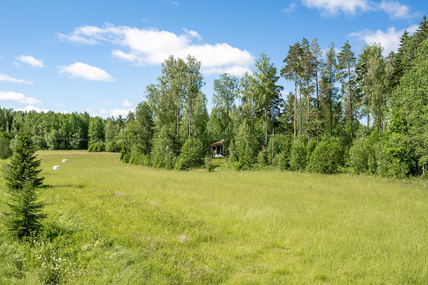 Gammelbo 101 – bild 6