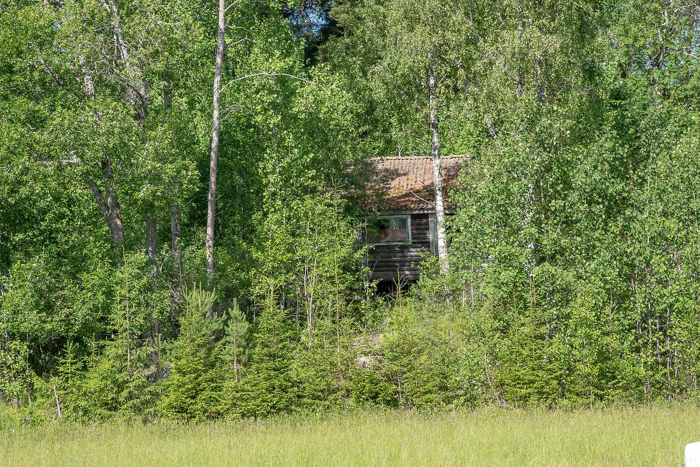 Gammelbo 101 – bild 4