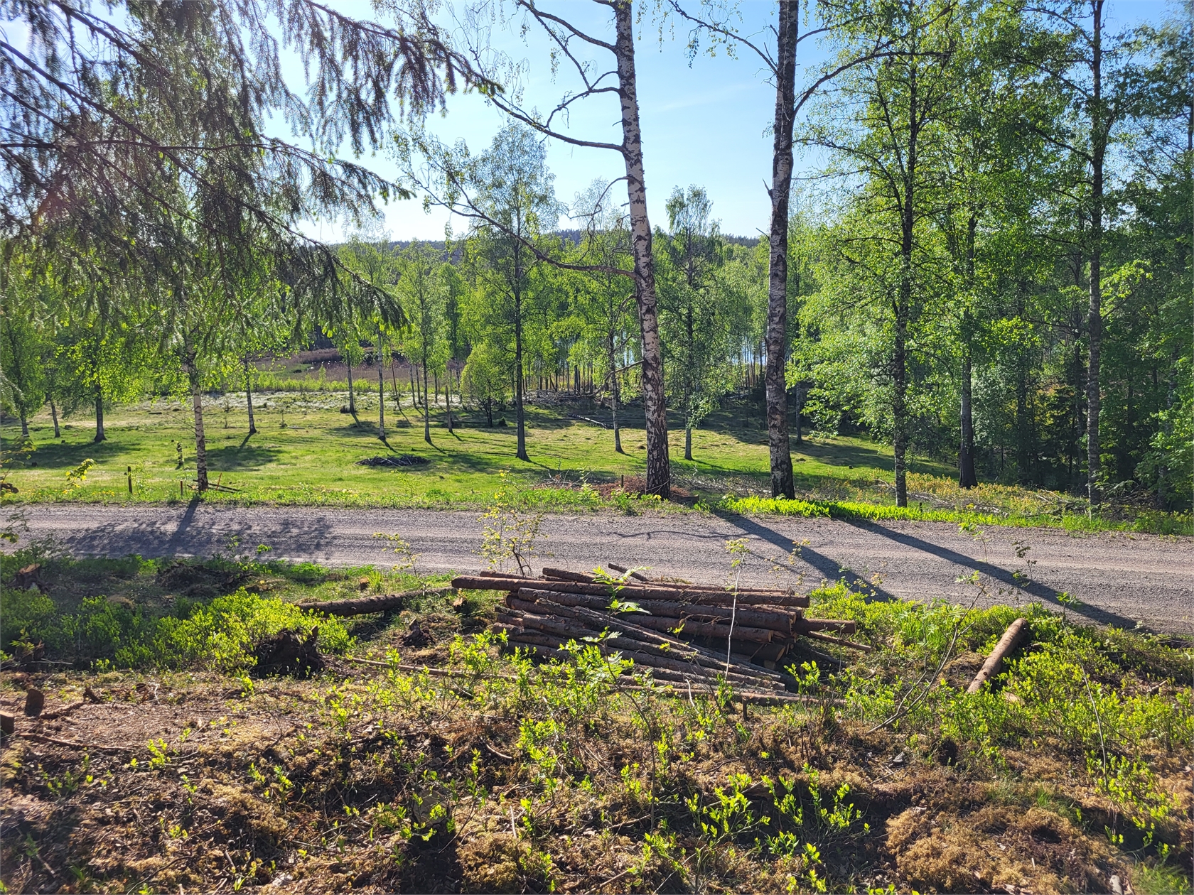 Ramsåsen Anneberg 1 – bild 2