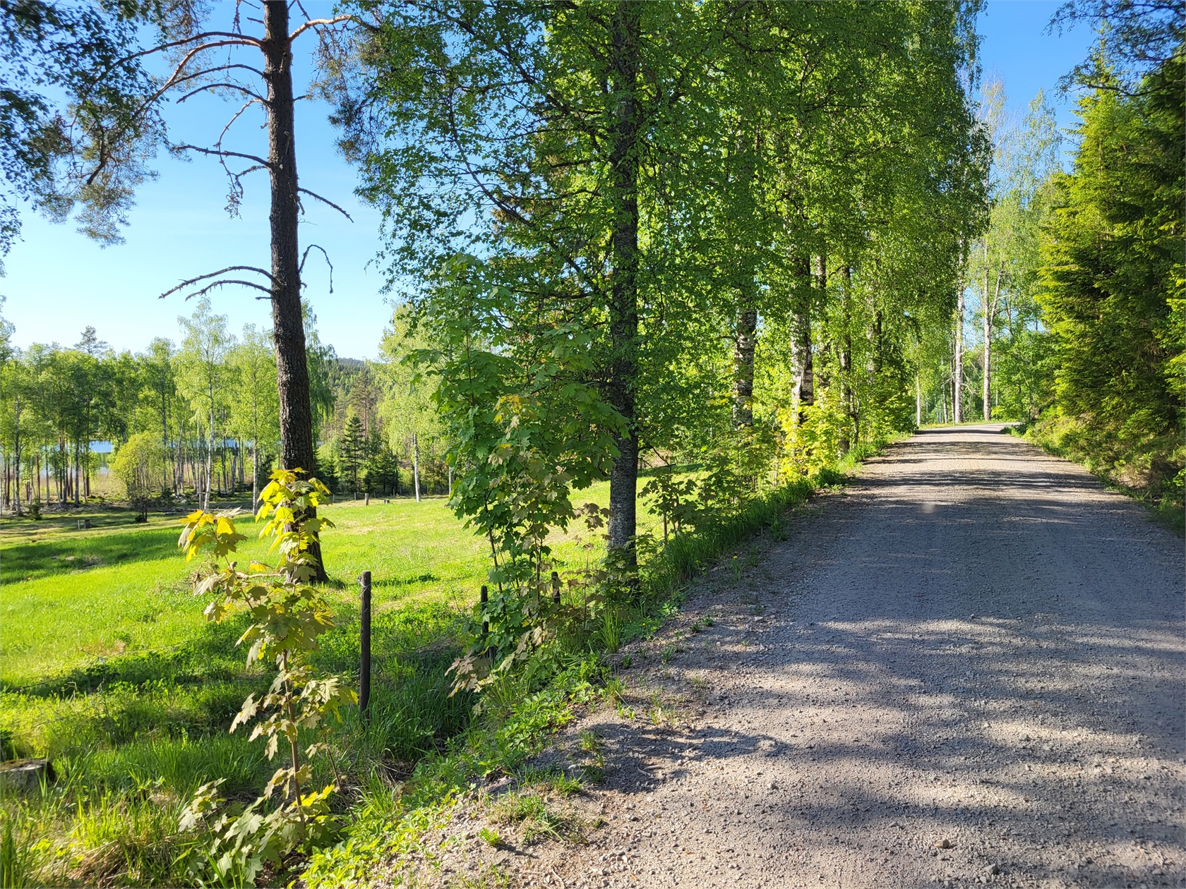 Ramsåsen Anneberg 1 – bild 4