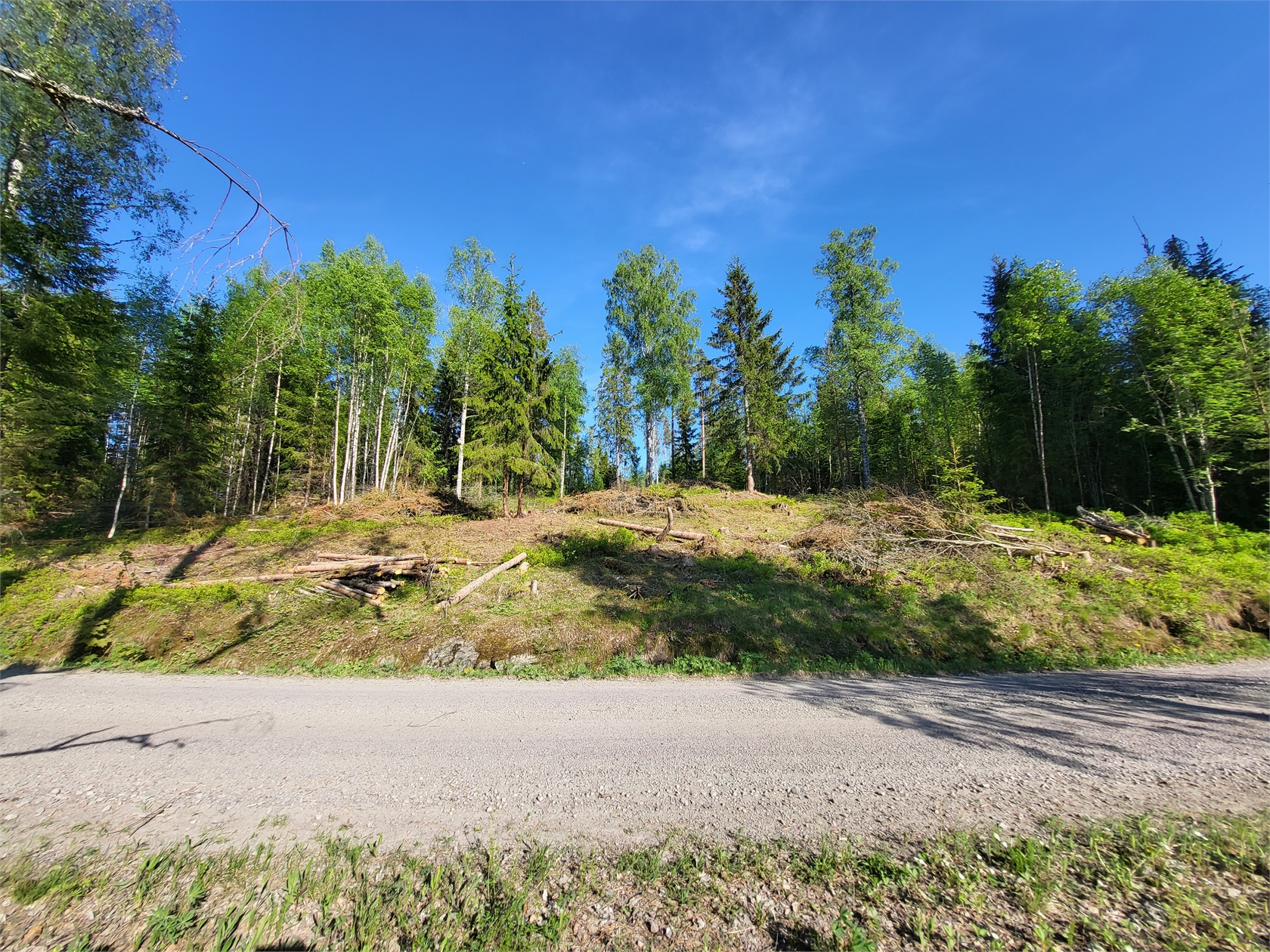 Ramsåsen Anneberg 1 – bild 5