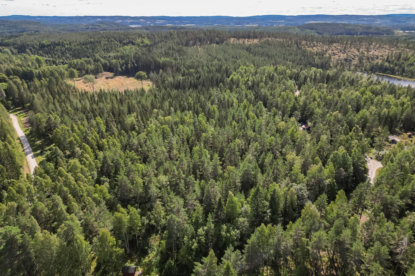 Älgsjön 1 – bild 8