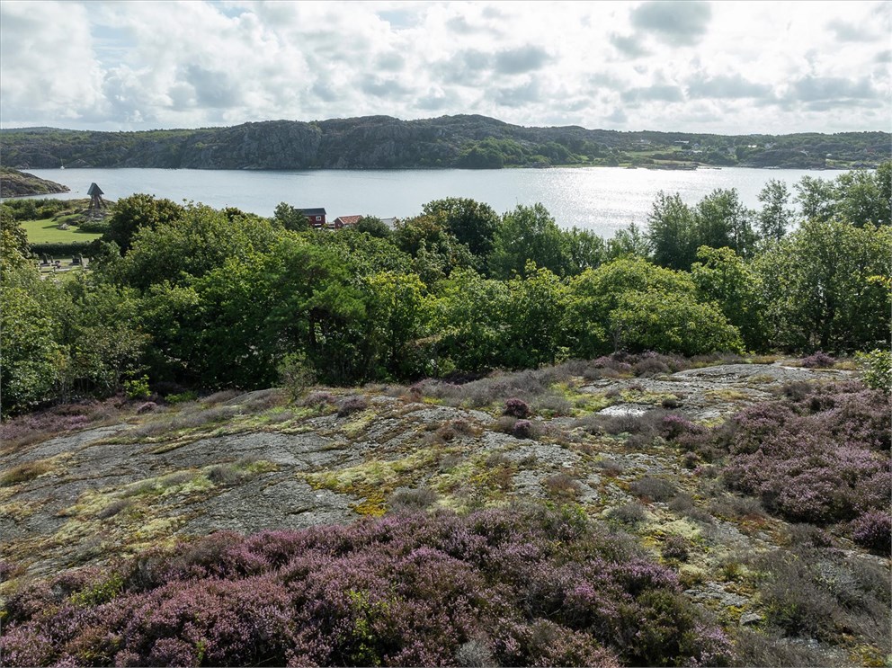 Tången - Mollösund