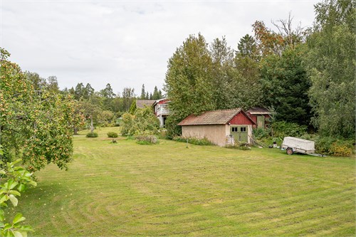 Trädgård och garage