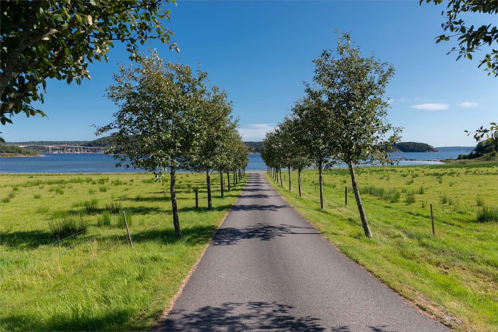 Högås Kärr 121 – bild 17