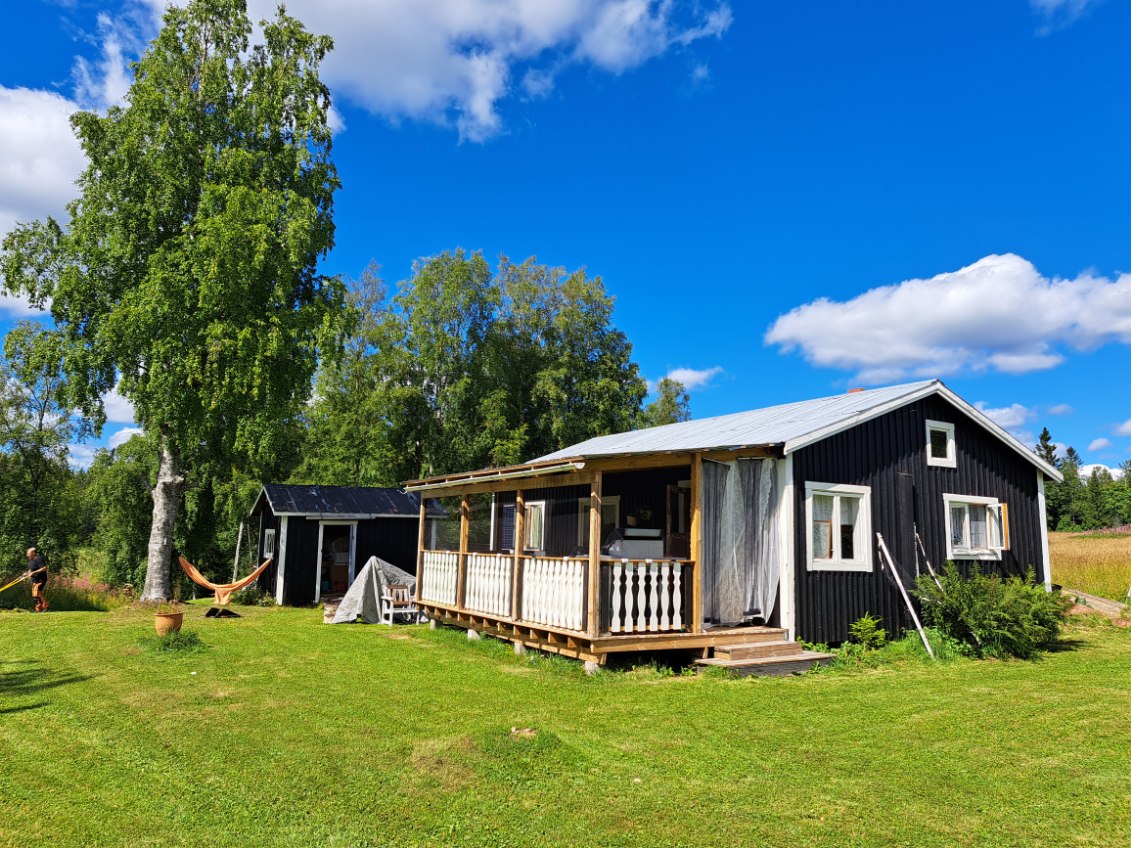 Vrångtjärn 319 – bild 4