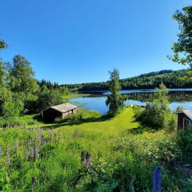 Vrångtjärn 319 – bild 6