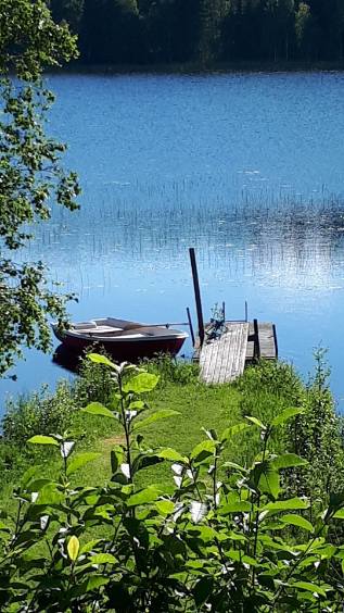 Vrångtjärn 319 – bild 2