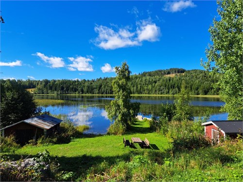 Vrångtjärn 319