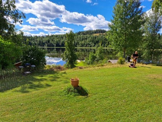 Vrångtjärn 319 – bild 7