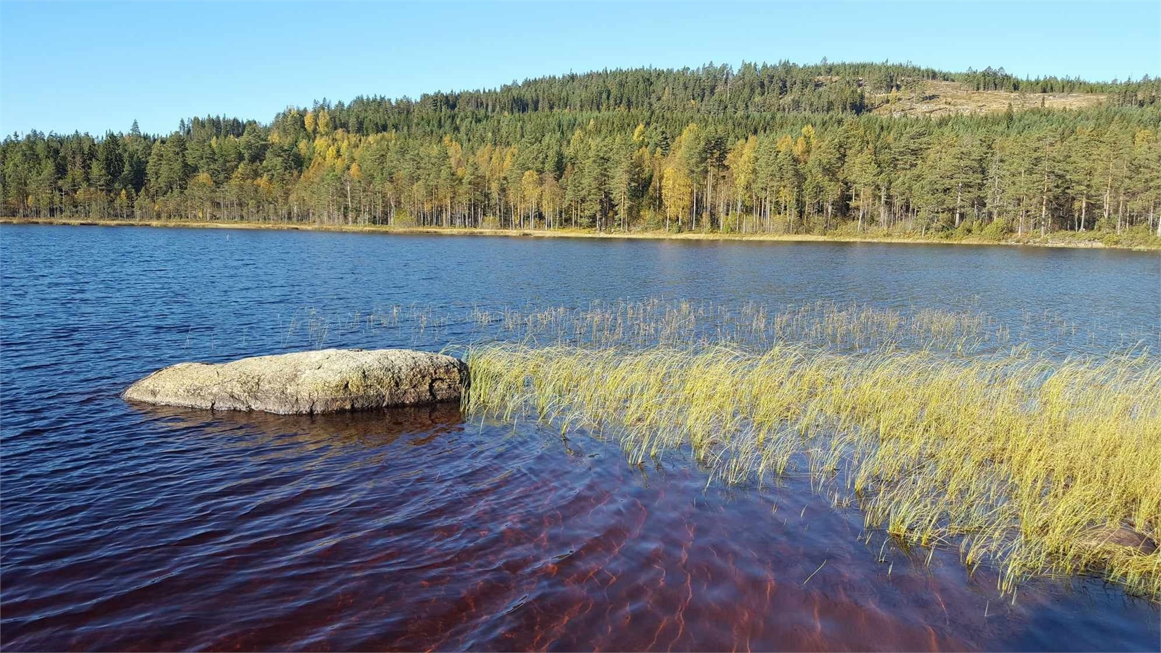 Annsjön 12 – bild 22