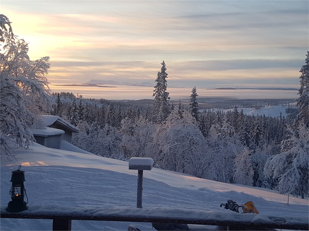 Uggen Ripvägen 9