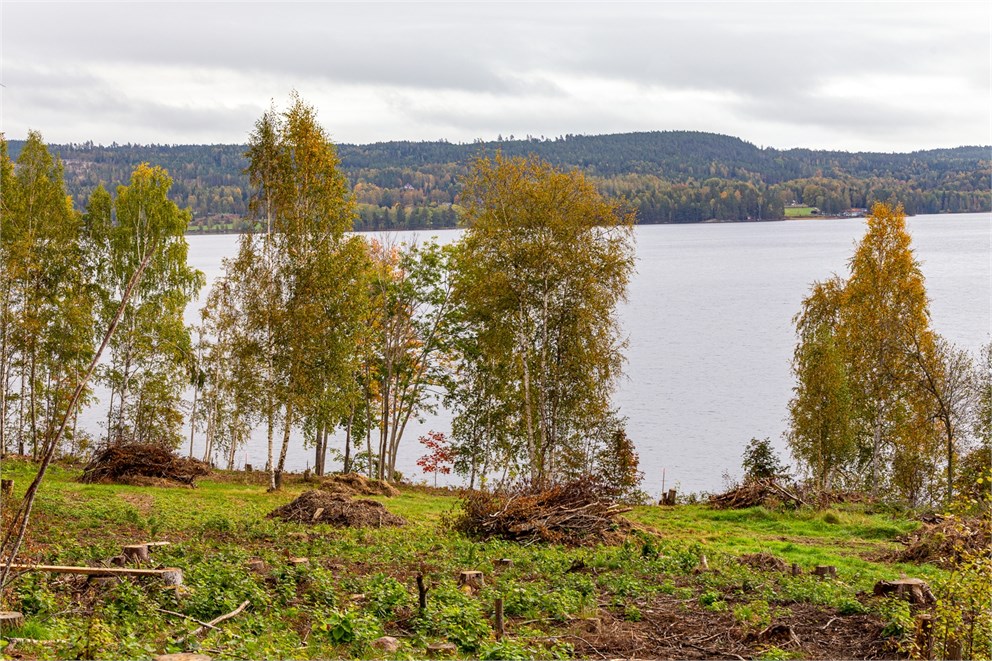 Tomt 1 vid Råsvalen 