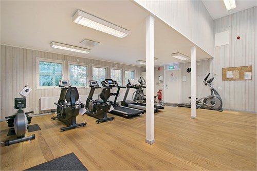 Föreningsgym 