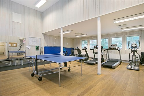 Föreningsgym
