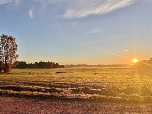 Utsikt från tomten