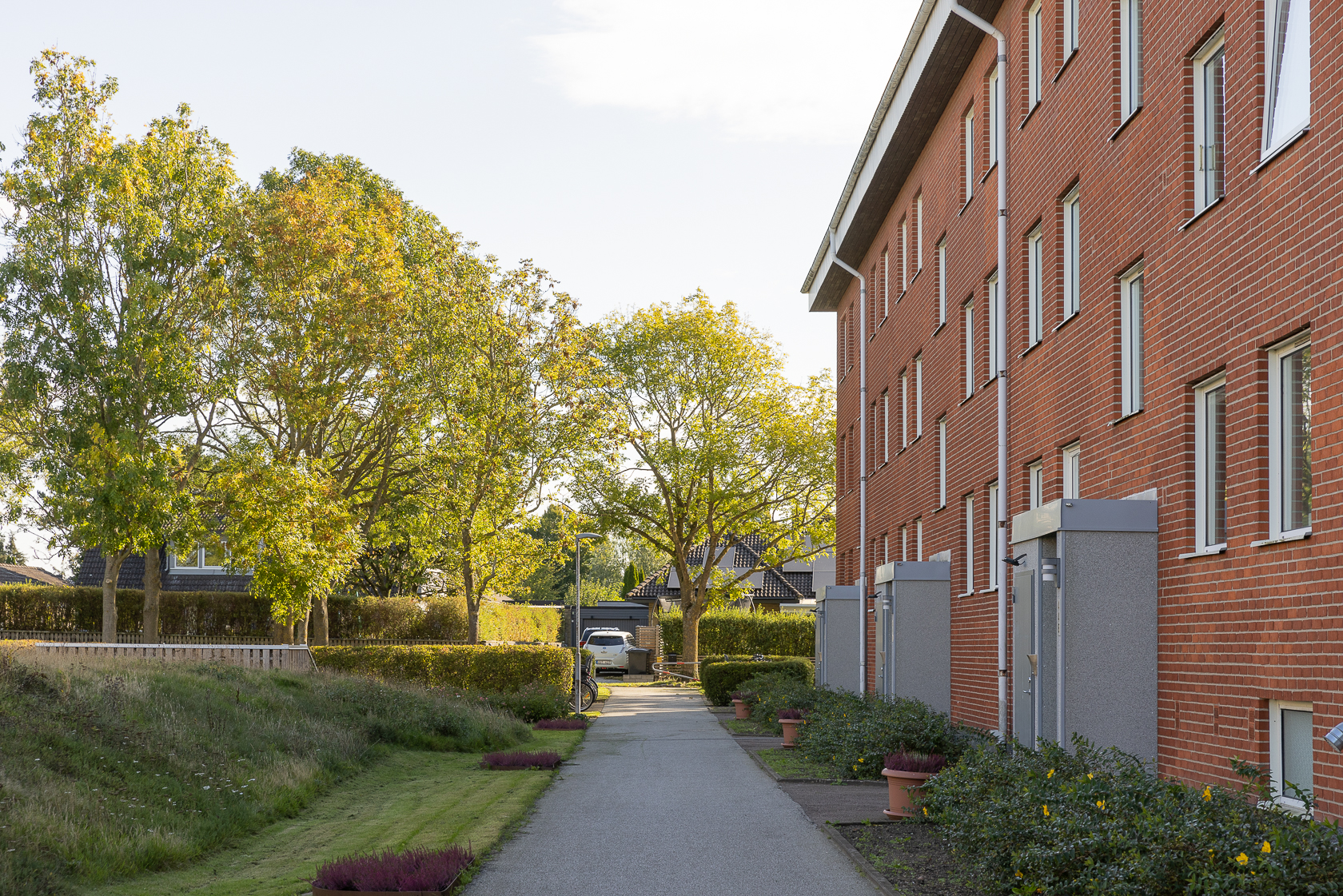 Se fler – bild 22