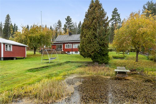 Del av trädgården med bl a vattendamm