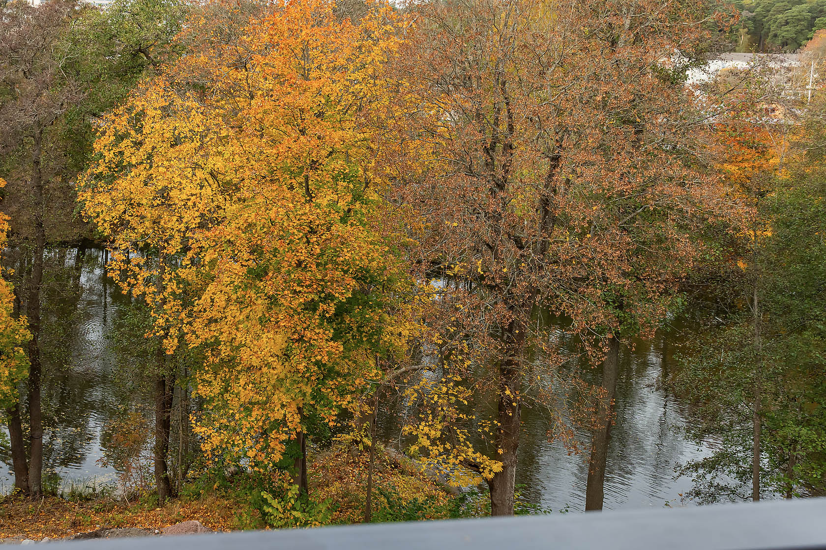 Periodgången 3C – bild 4
