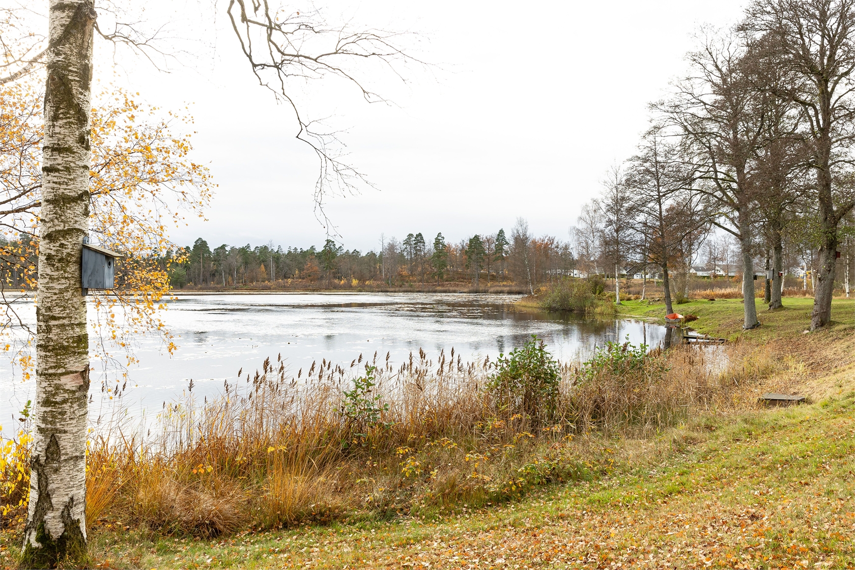 mån 16/11 – bild 37