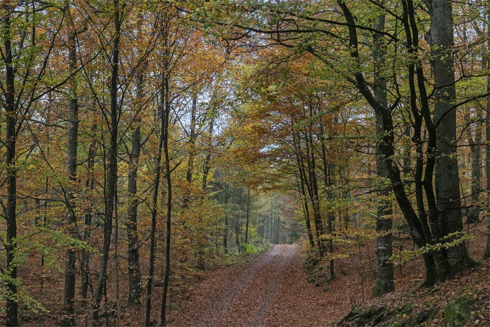 sön 18/10 – bild 35