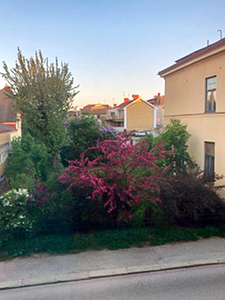 Stora Bergsgatan 22 – bild 11