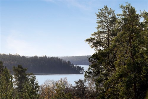 Välkommen till Neptunusbacken 3