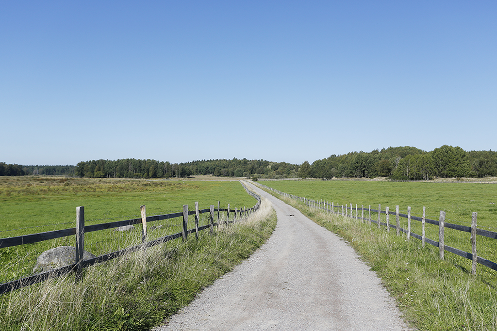 Elinsborgsbacken 26, 1 tr – bild 18