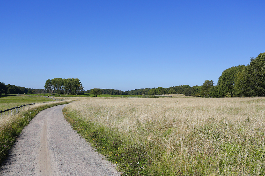 Elinsborgsbacken 26, 1 tr – bild 19