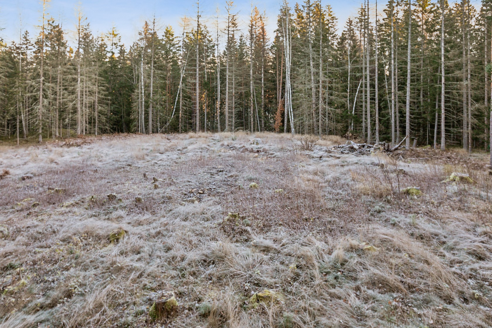 På gång – bild 13