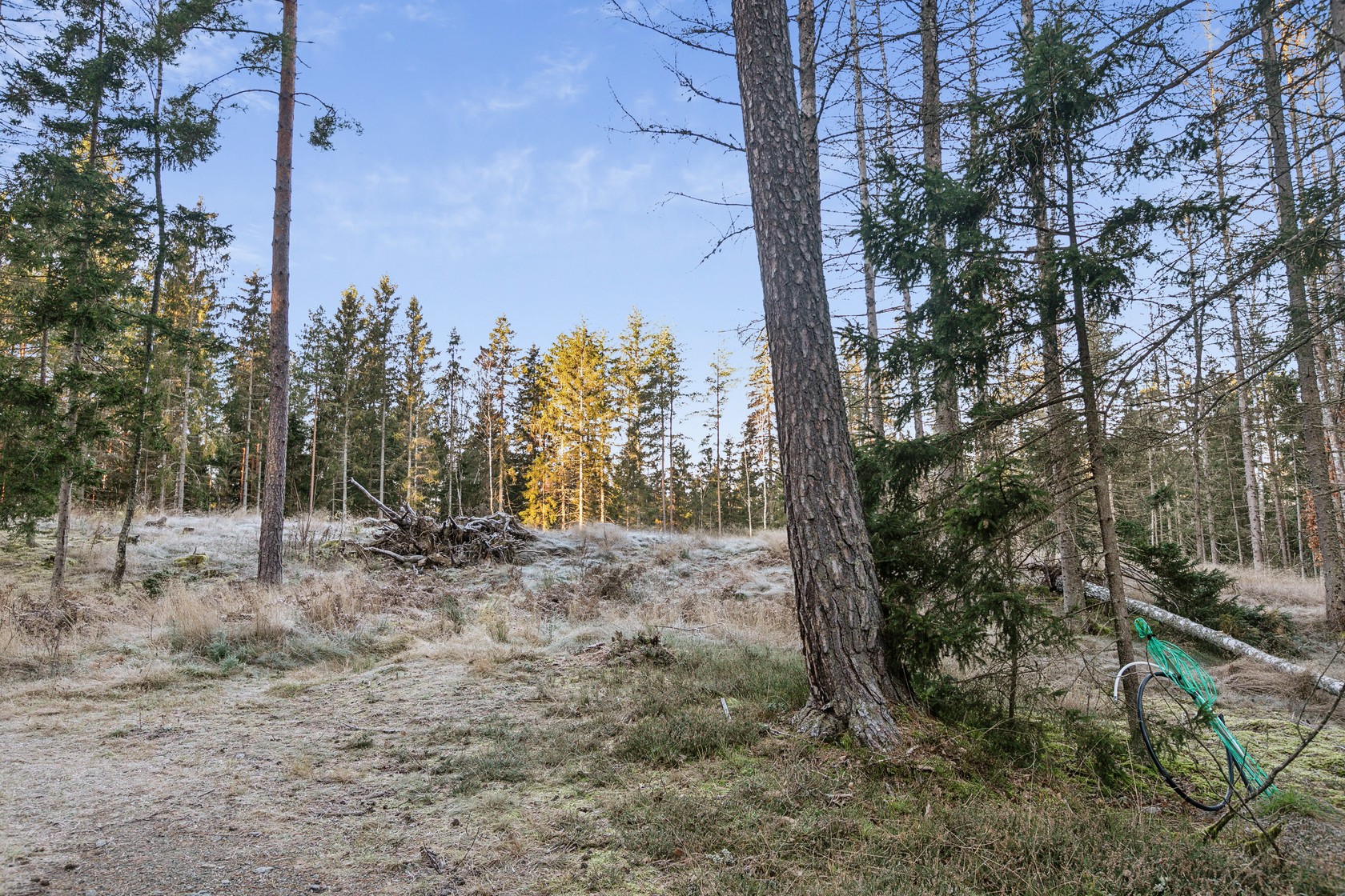 På gång – bild 10