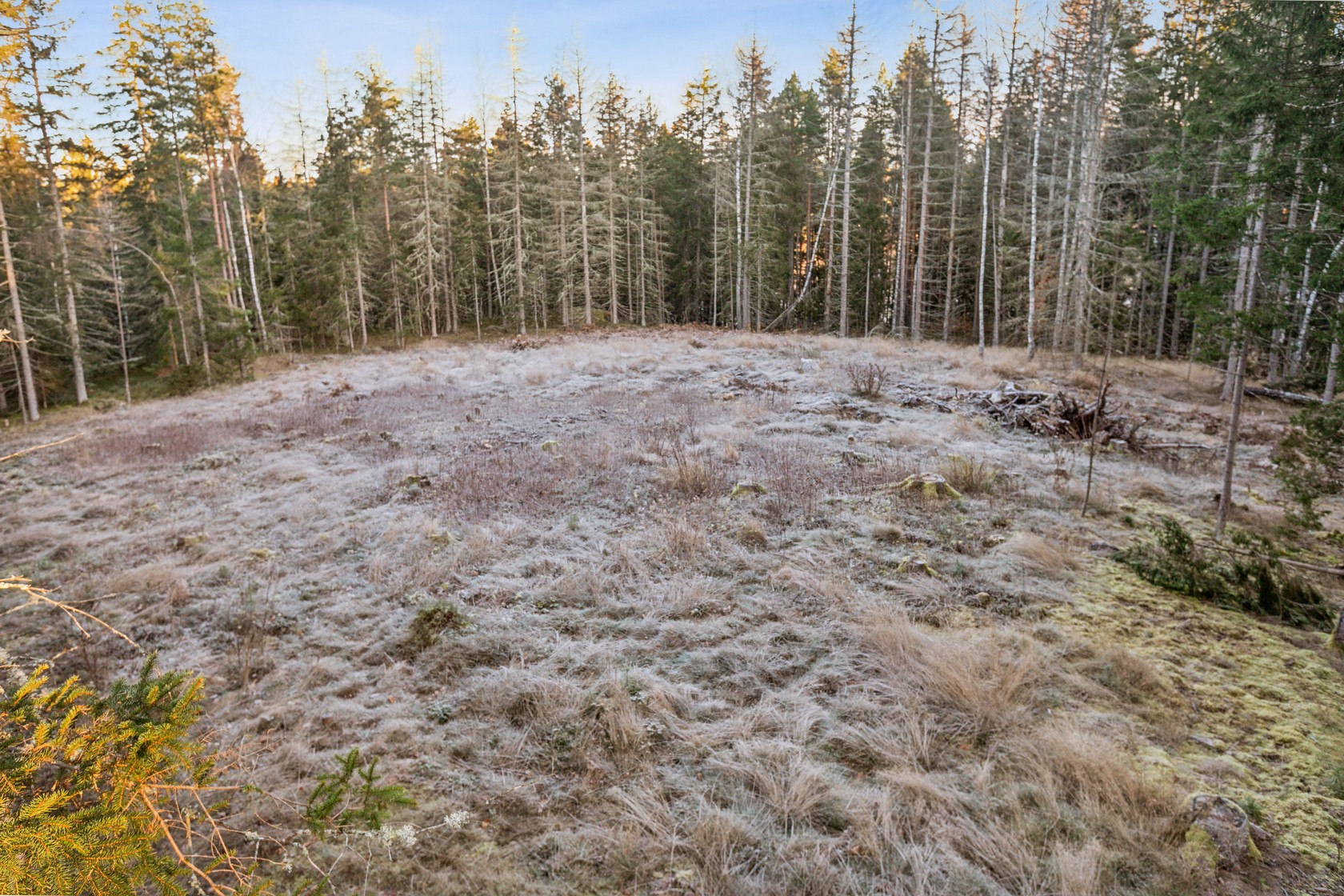 På gång – bild 12