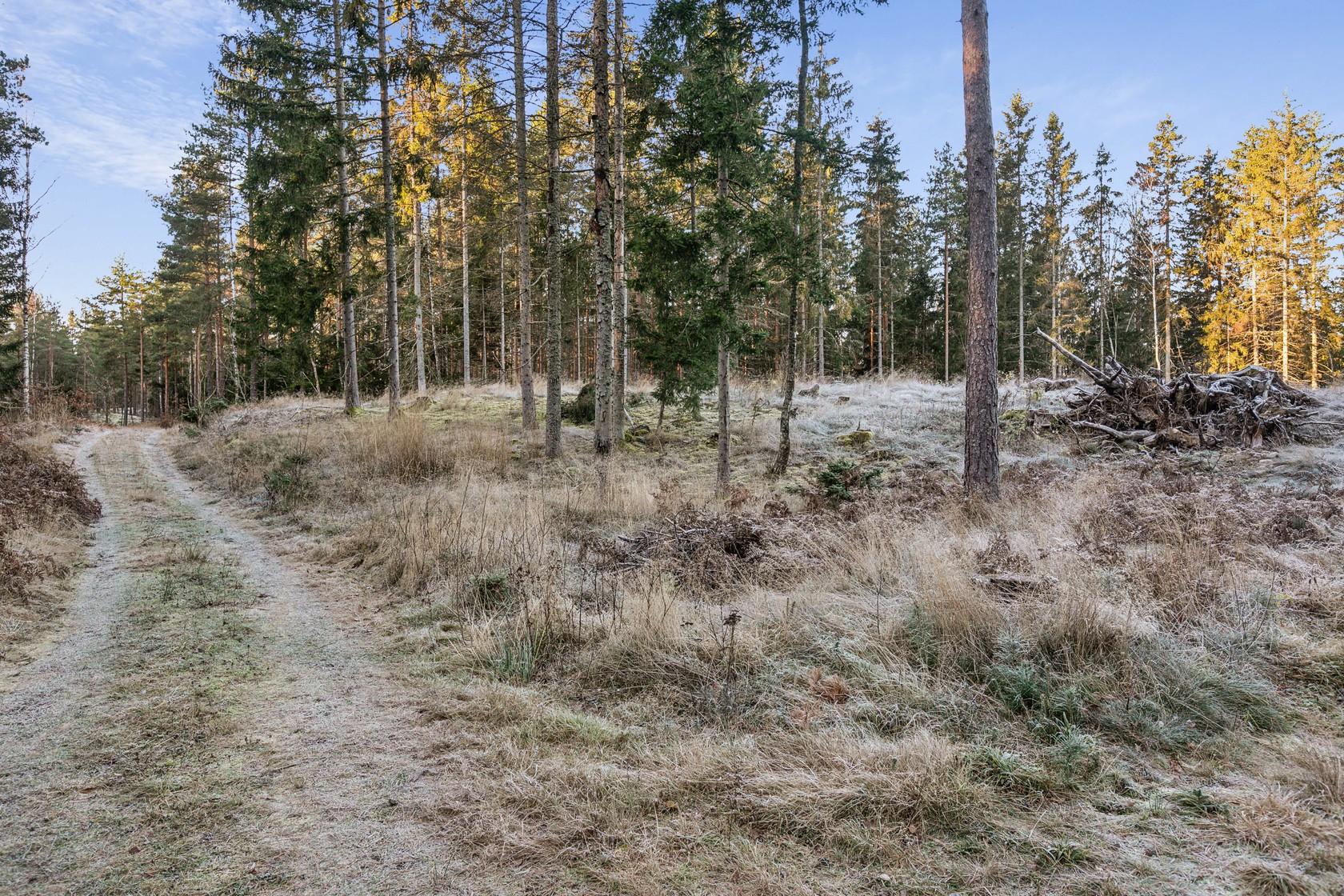 På gång – bild 7