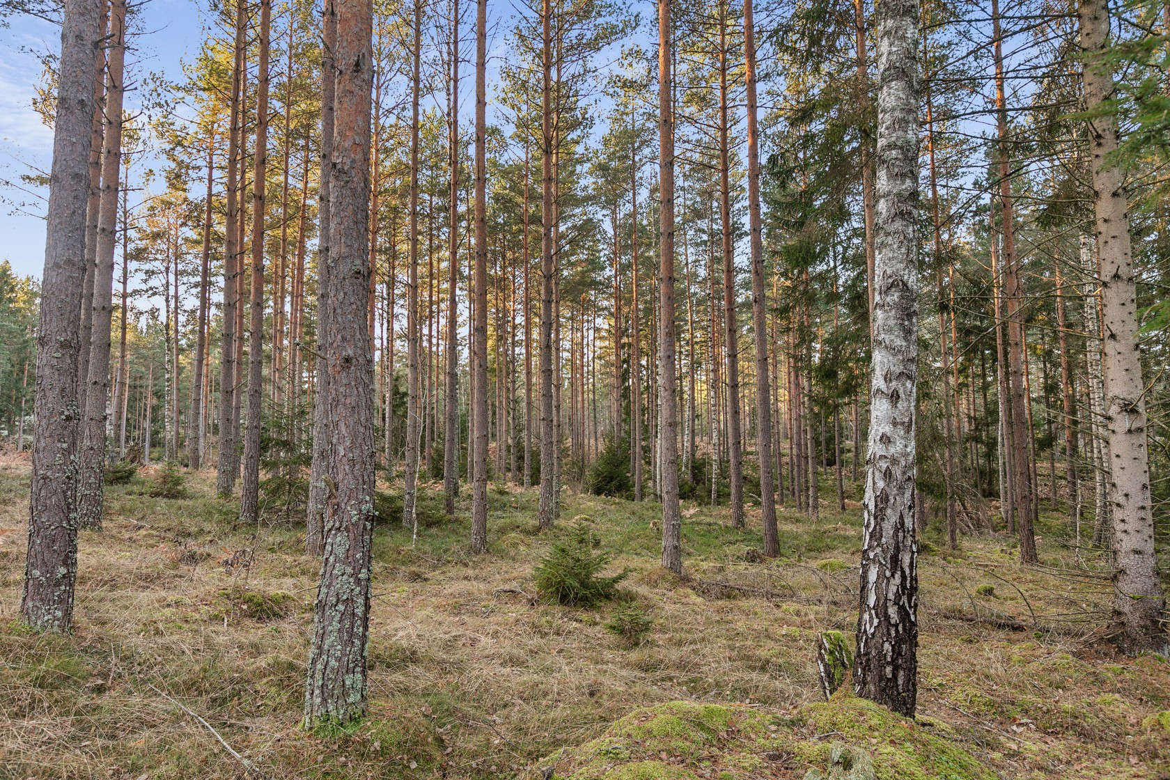 På gång – bild 8