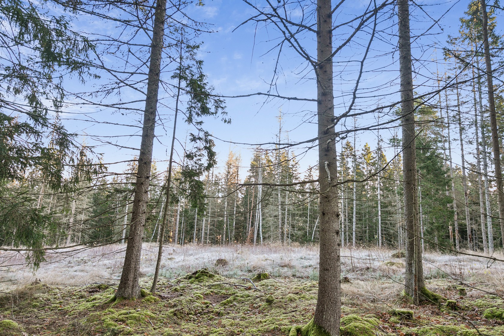 På gång – bild 9