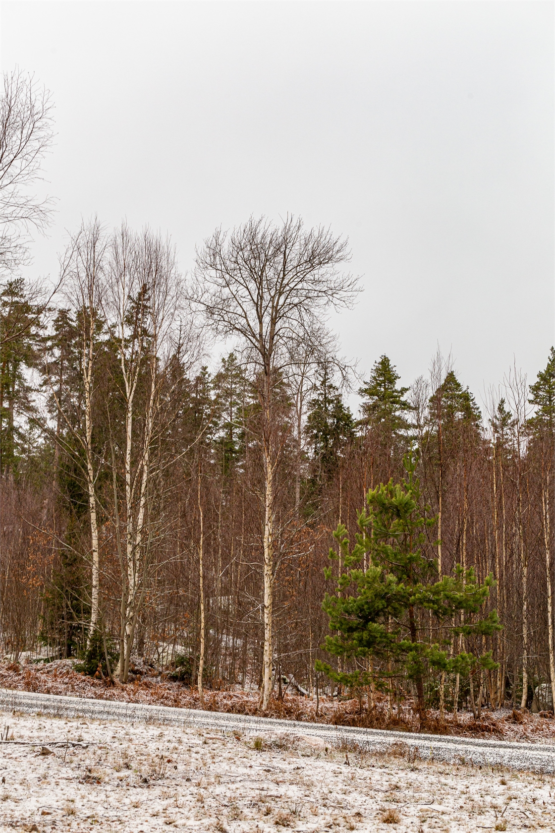 Tomter Östra Sund – bild 4