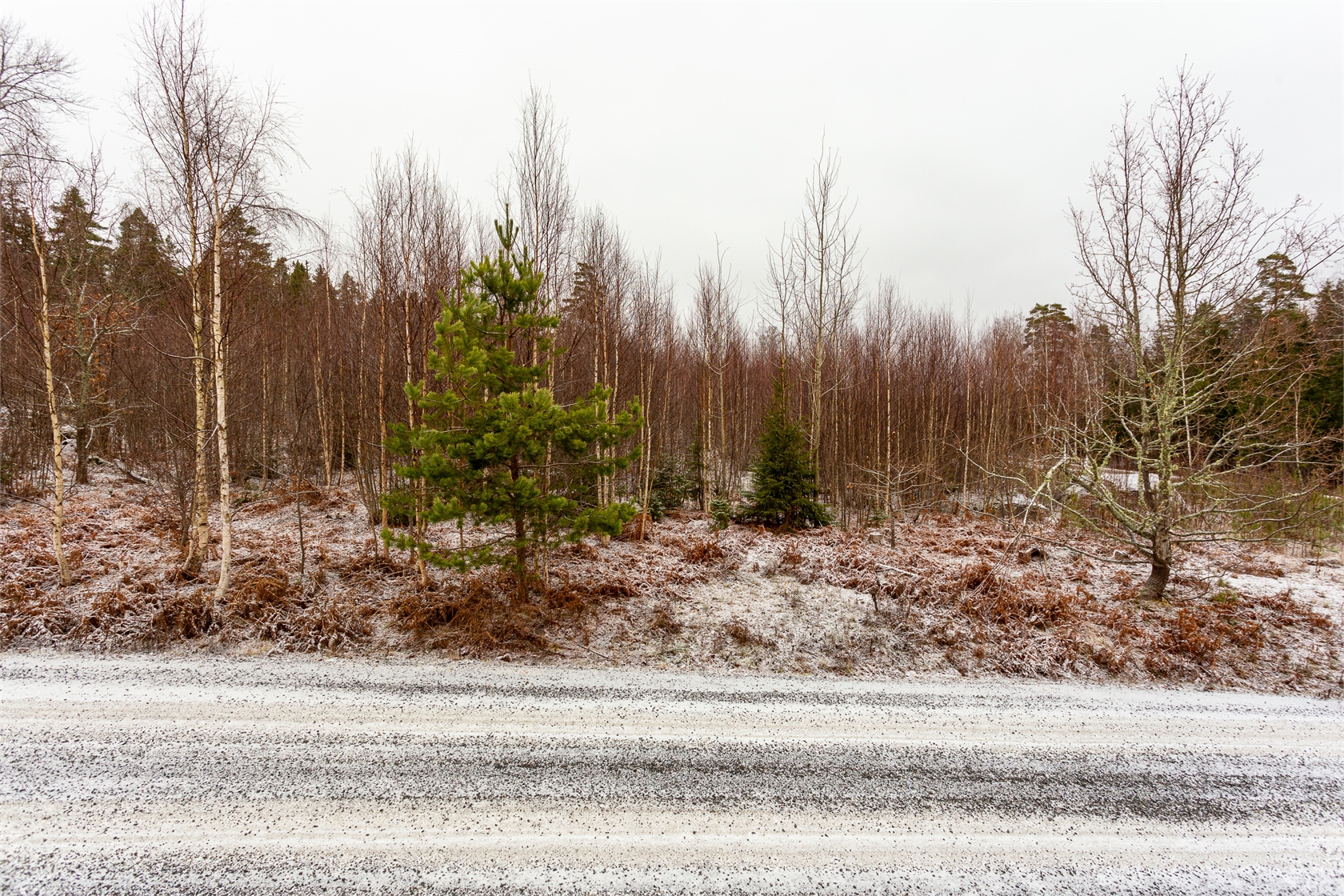 Tomter Östra Sund – bild 5