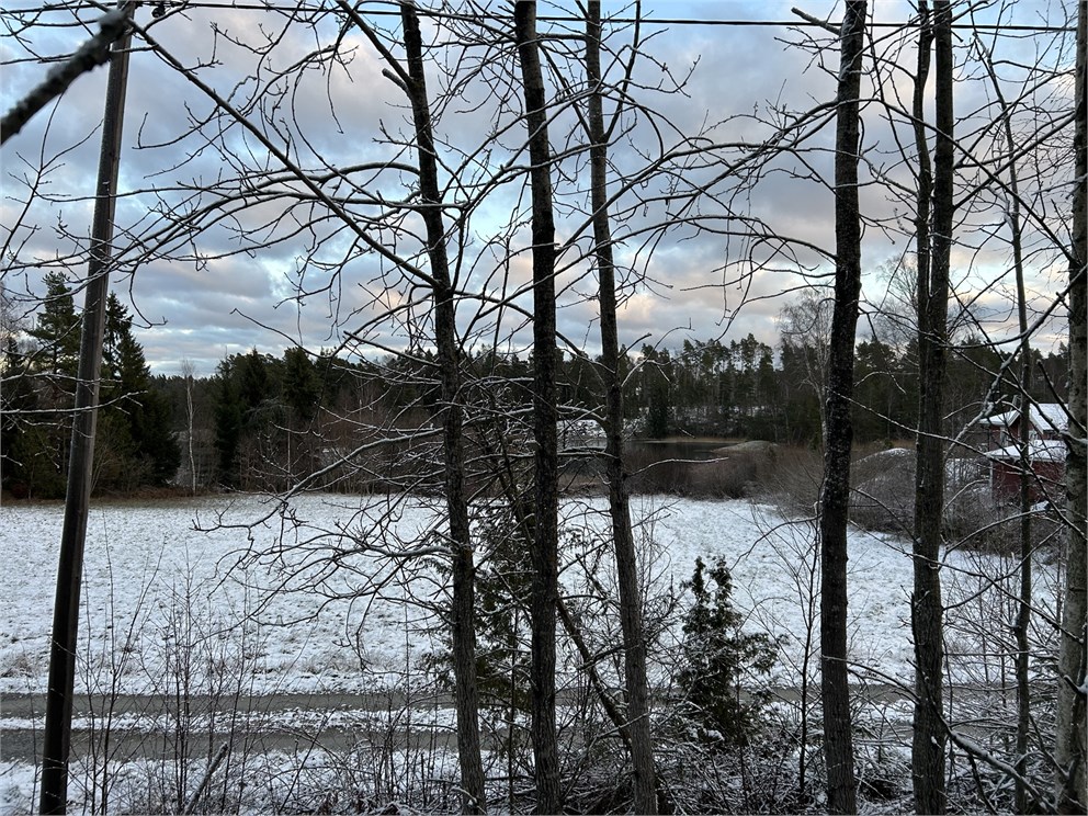 Från den blivande tomten och mot vattnet