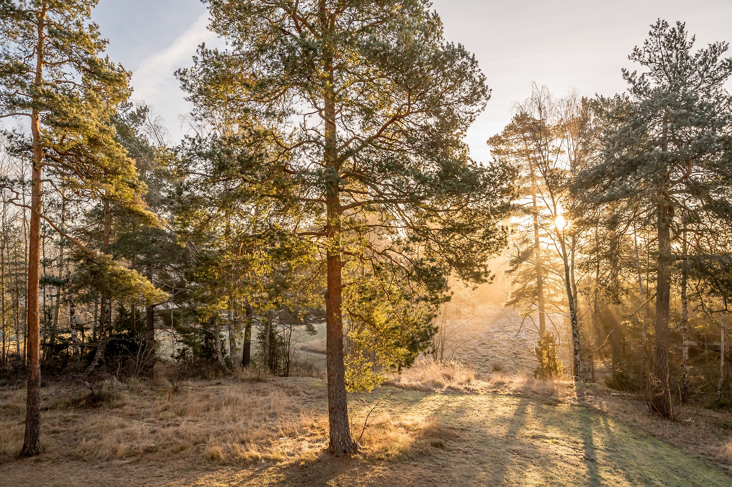Siriusgatan 9C – bild 10