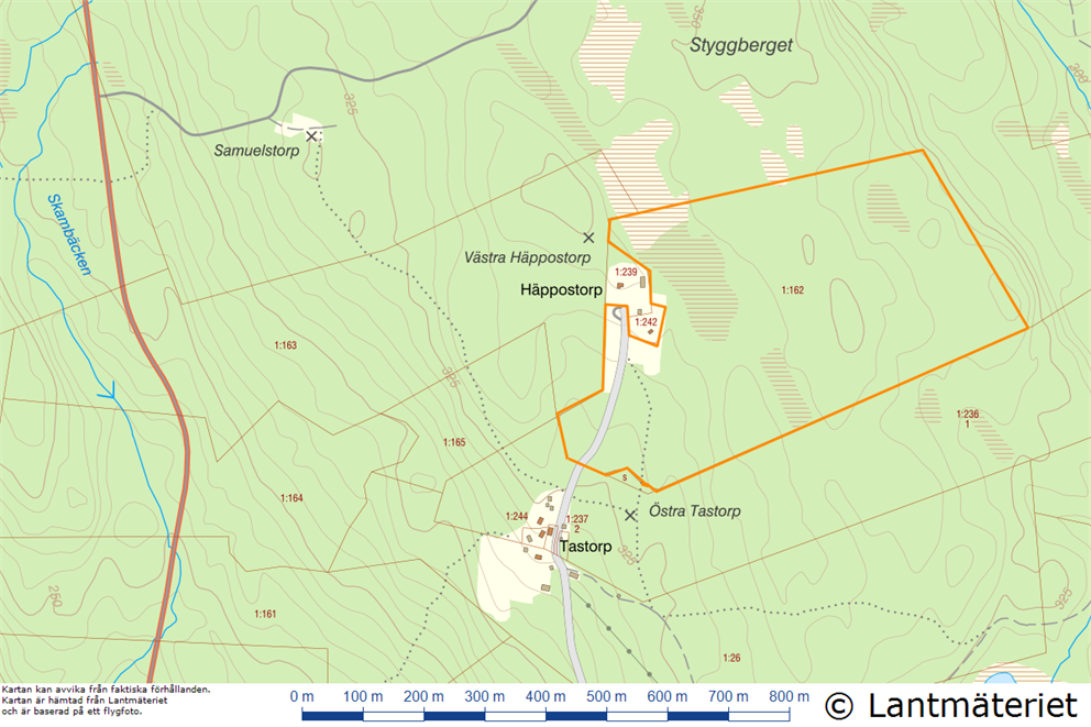 Timbonäs skog