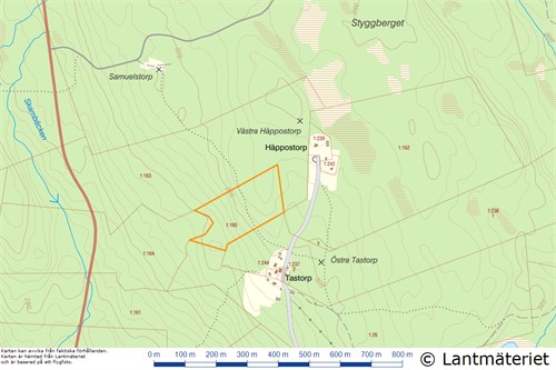 Timbonäs skog