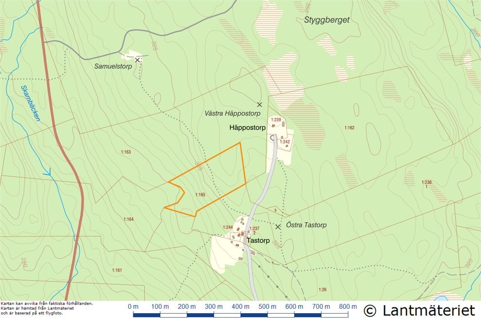 Timbonäs skog