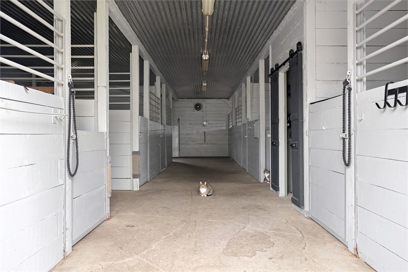 Stall